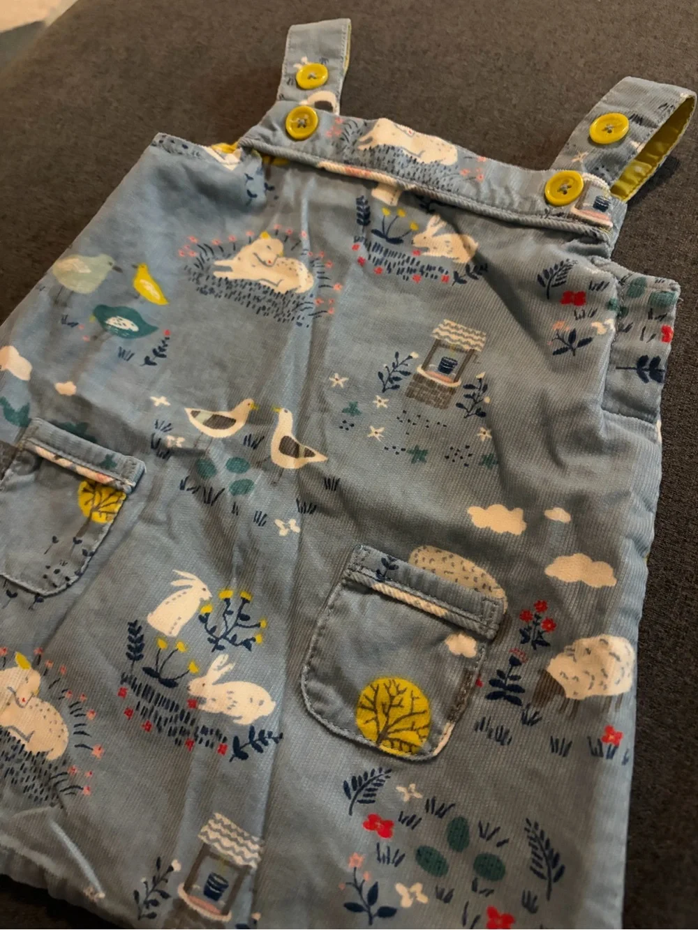 Mini Boden Light Blue Corduroy Pinafore Dress with Nature Print